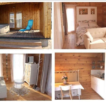 Chalet Esprit Zen Et Nature Avec Spa Сент-Илер-де-Рие Екстериор снимка